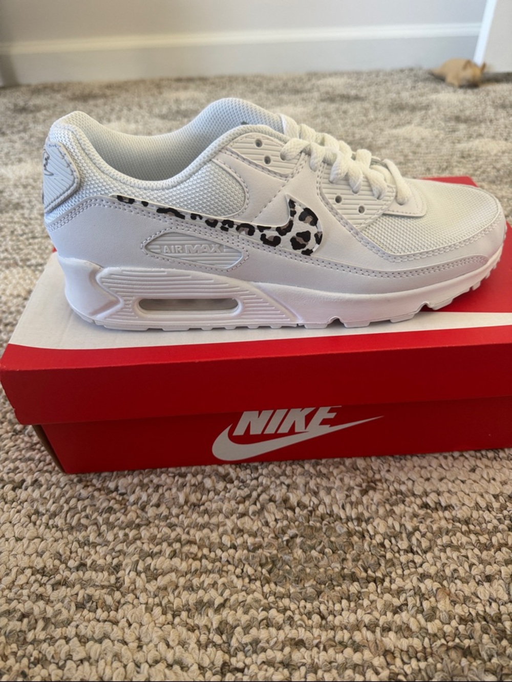 Nike Women’s Sneakers with Leopard Swoosh